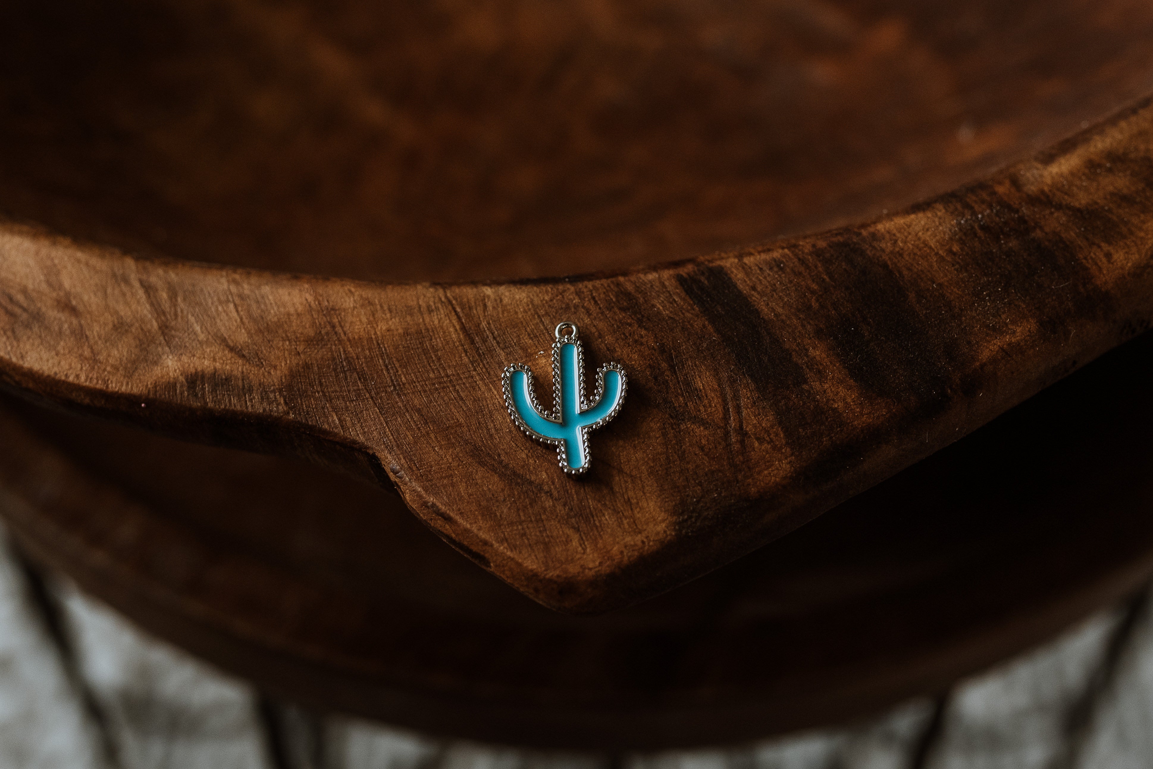 Silver Charm - Teal Cactus