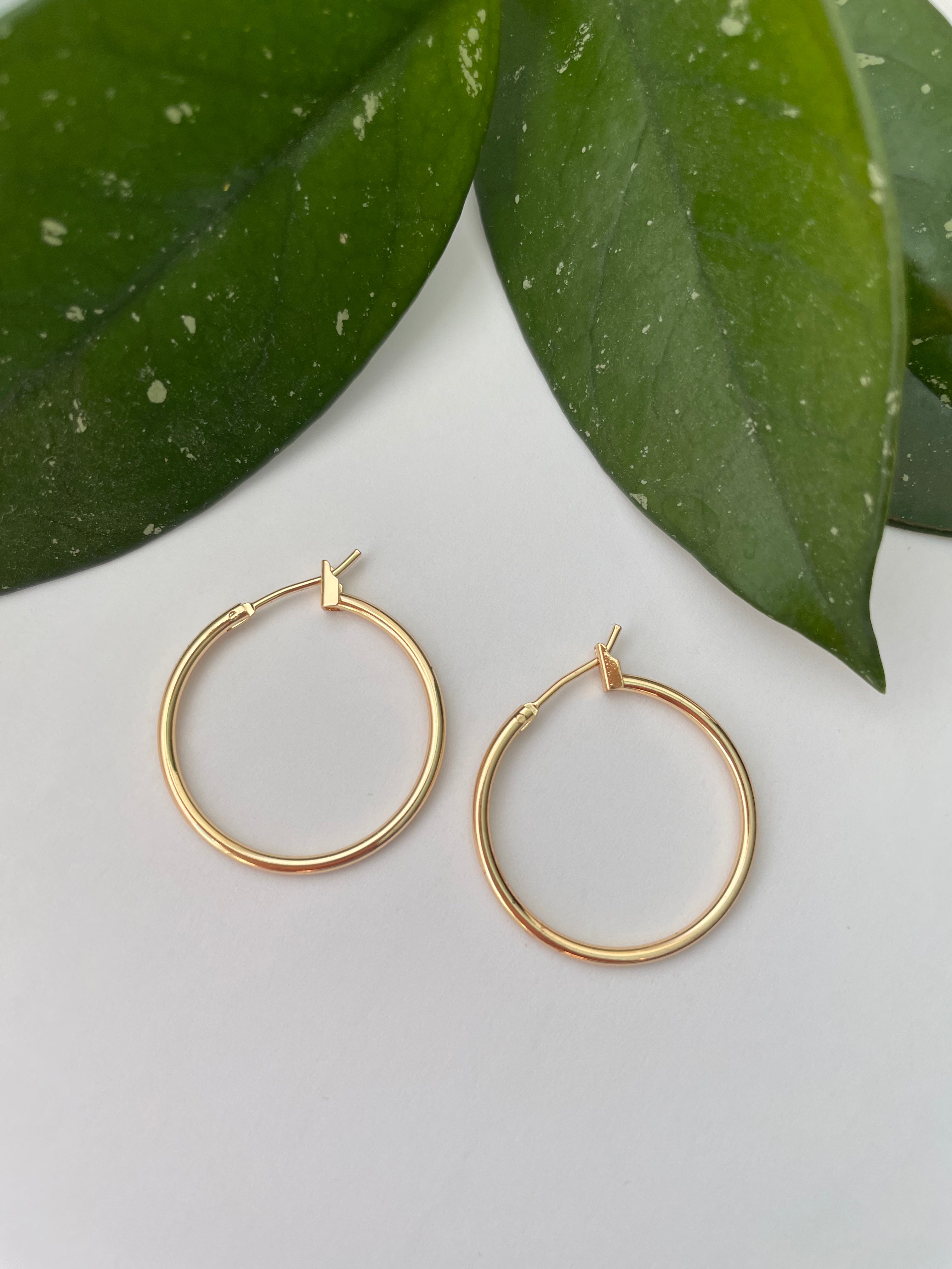 Gold Earrings - Charmed by Chardonnay