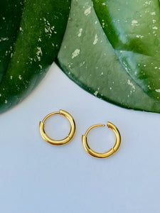 Gold Earrings - Aria