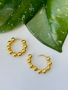 Gold Earrings - Aliante