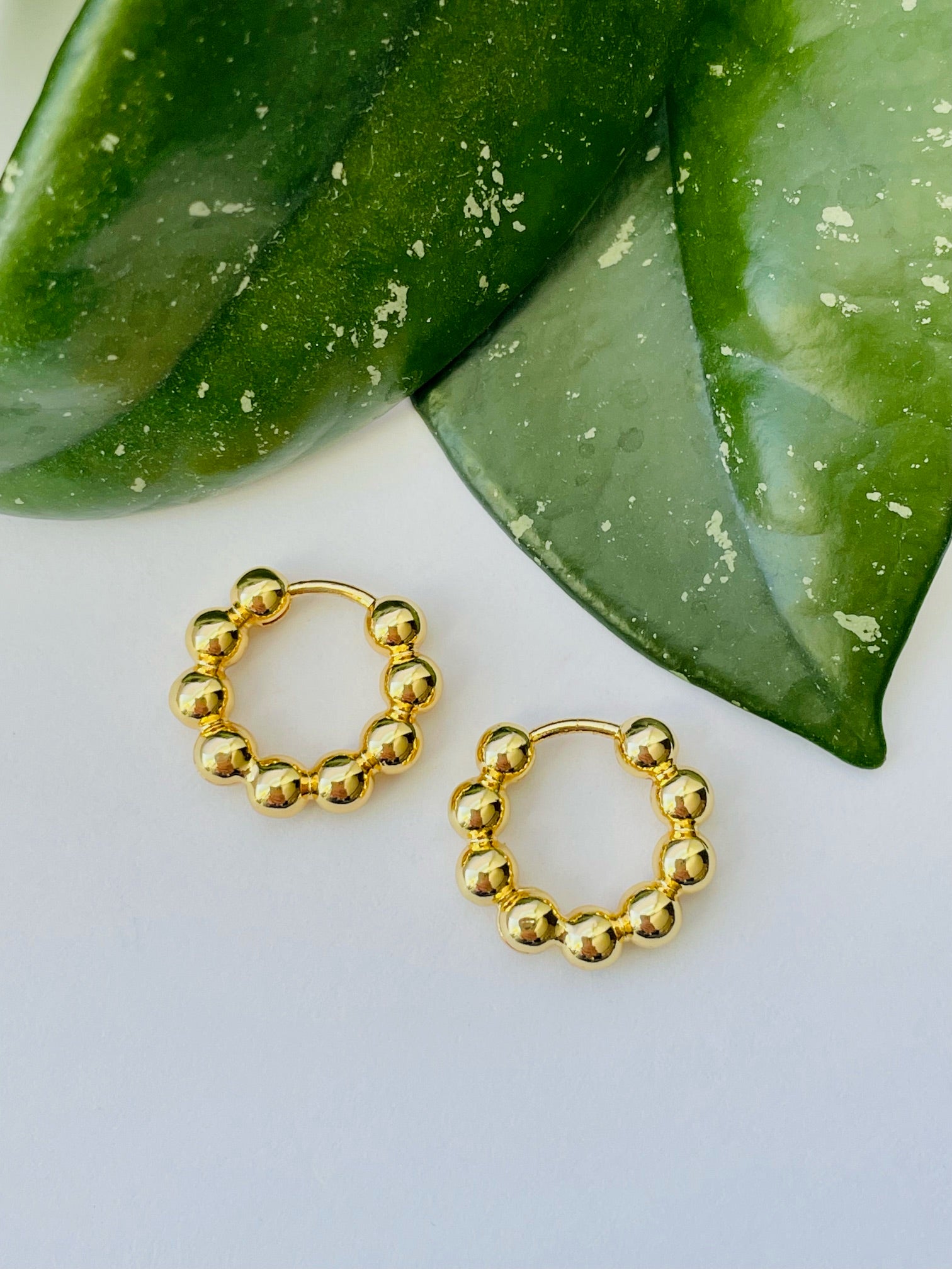 Gold Earrings - Aliante